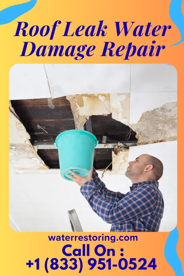 Roof Leak Water Damage Repair in Lafayette, OR